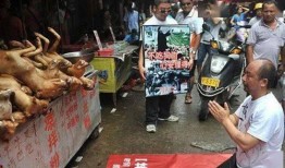 贵港宠物店爆料事件最新,揭露行业黑幕，宠物权益引关注